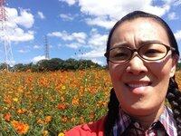 たんぽぽ白鳥久美子『ツイッター』