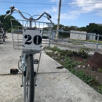 イモトアヤコ『数字に運命感じるほうです』