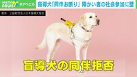 【映像】盲導犬「同伴お断り」障がい者の社会参加に壁