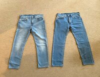 花田虎上『LEV I'S』