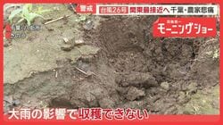 相次ぐ大雨で野菜高騰の恐れも　ニンジン甚大被害　千葉に再び…関東に近づく台風26号