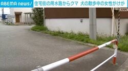 住宅街の用水路からクマ 犬の散歩中の女性がけが