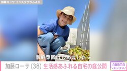 加藤ローサの“生活感あふれる”自宅の庭に反響 「ステキ」「雑誌の1ページみたい」