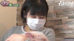 多忙な女流棋士の“癒し”は「子ブタ」に「お酒＆ゲーム」！？伊藤沙恵女流三段＆香川愛生女流四段が人気スポットで大はしゃぎ／将棋・女流ABEMAトーナメント