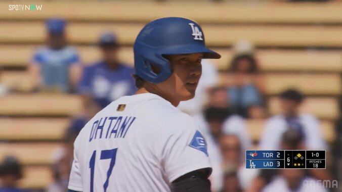 【写真・画像】　2枚目