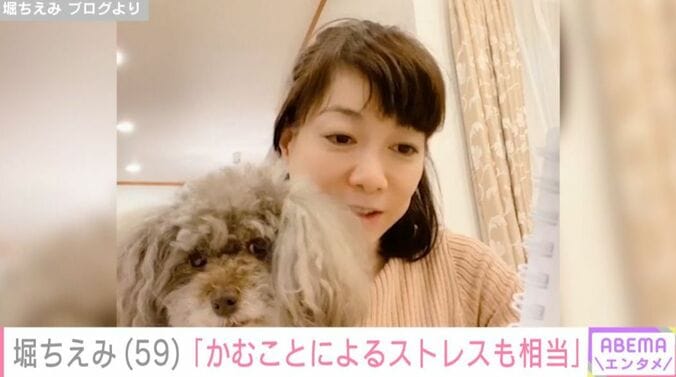 堀ちえみ ブログより