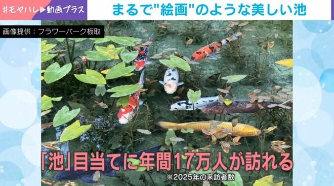根道神社の境内にある池