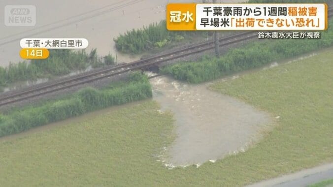 泥水が流れ込んだ田んぼ