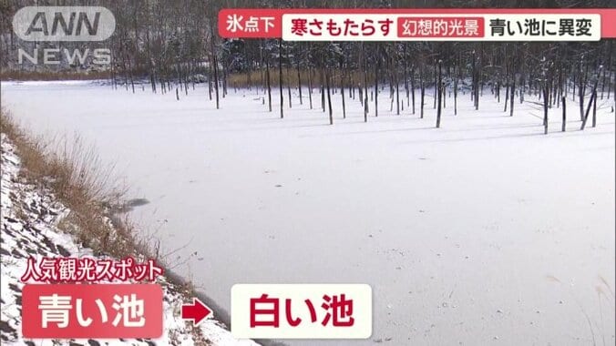 一面真っ白な雪景色に