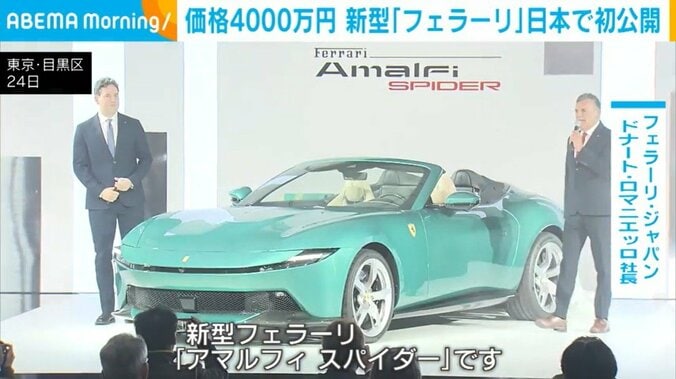 アマルフィスパイダー