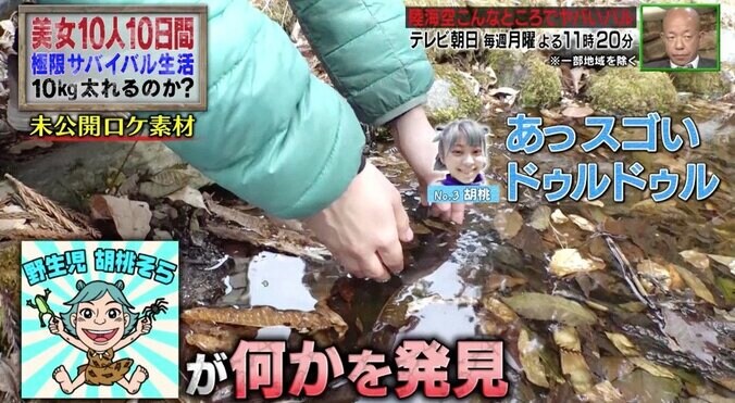 アイドル、カエルの卵を生実食！「お腹の中で孵化したら…」と心配の声 2枚目