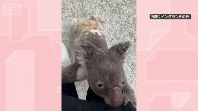 ギュッ！