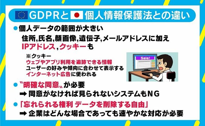 欧州の個人データ保護新ルール「GDPR」施行で日本企業も大ピンチ？いちから解説！ 3枚目