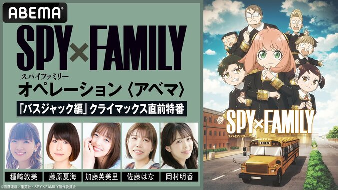 【写真・画像】アニメ『SPY×FAMILY』“1年3組”キャスト出演特番が放送決定&全話イッキ見チャンネルが期間限定復活 1枚目