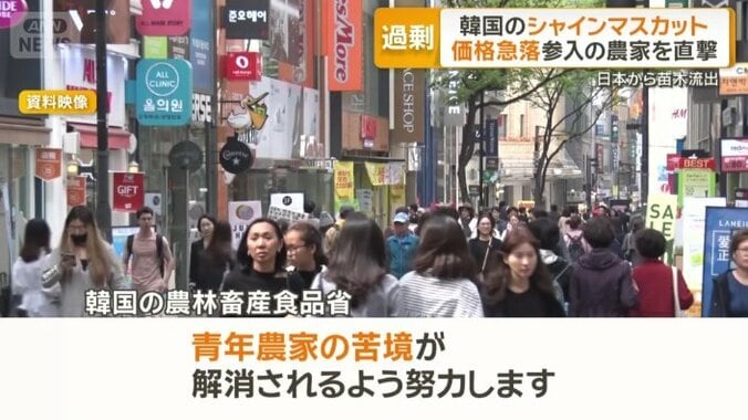 韓国の農林畜産食品省