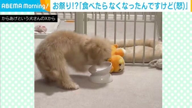 マルプーのからあげちゃん