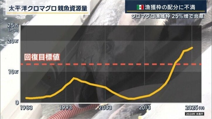 親魚資源量