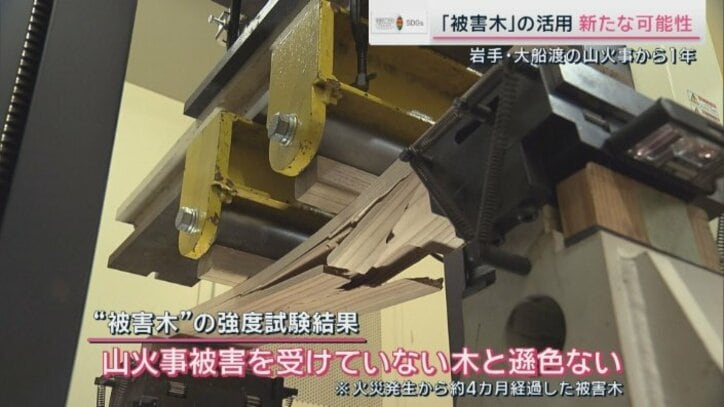 新たに分かった“被害木”の強度