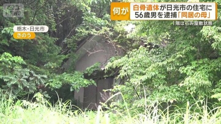 うっそうとした草木に覆われた一軒家