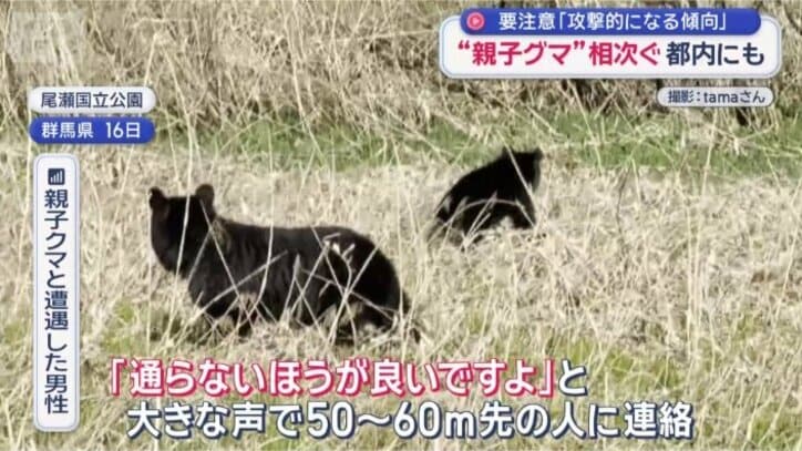 反対側にハイカーがいて…