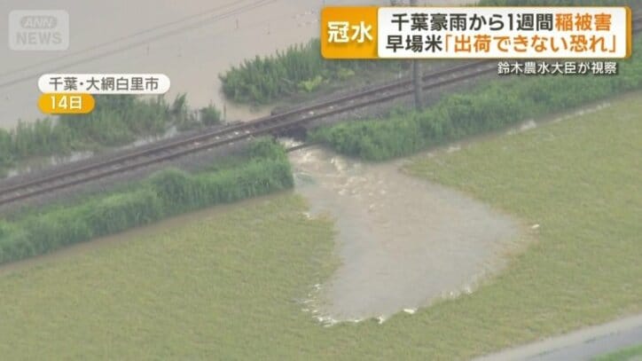 泥水が流れ込んだ田んぼ