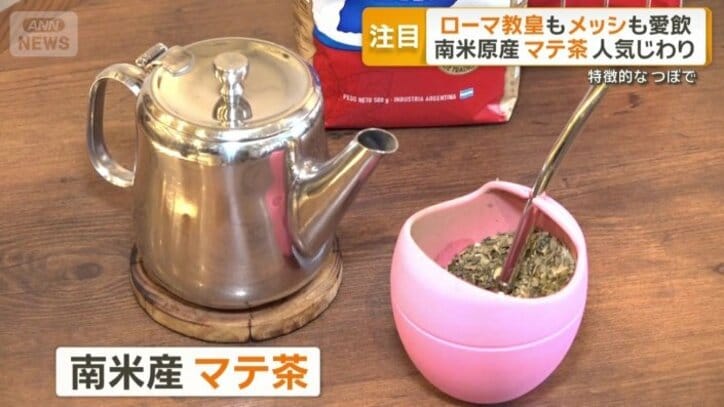 マテ茶