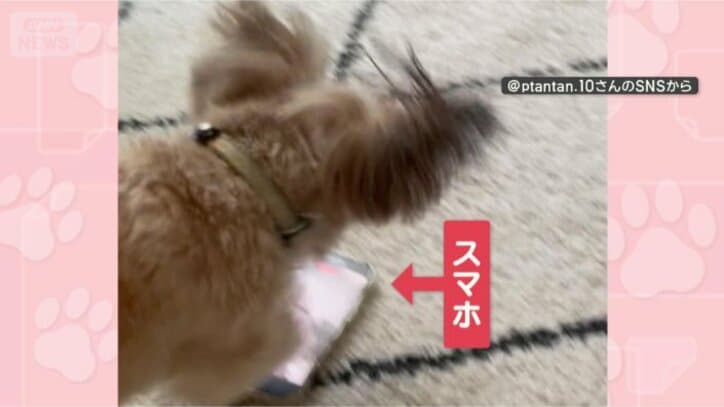 足元にはスマホが…