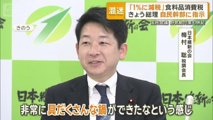 日本維新の会　梅村聡税調会長