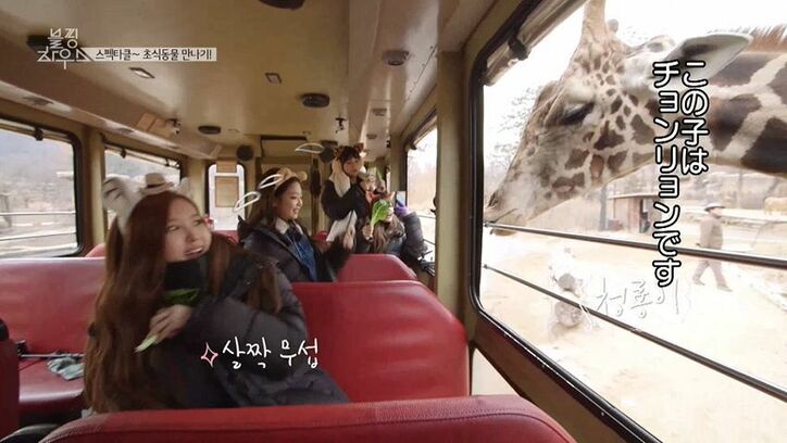 BLACKPINK・ジスのTV収録に潜入！なんとiKONにバッタリ「ブルピンハウス ファイト！」とエール