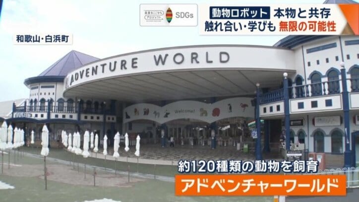 アドベンチャーワールド