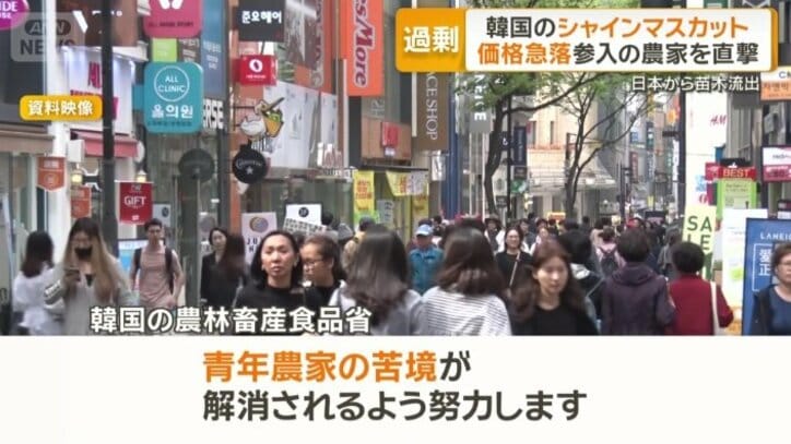 韓国の農林畜産食品省