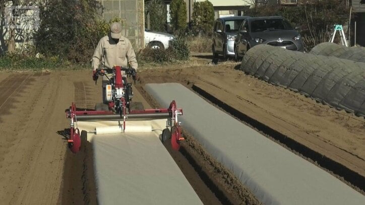 ナフサ由来の農業シート不足 土にかえる紙製の注文3倍に 温度や湿度保つ