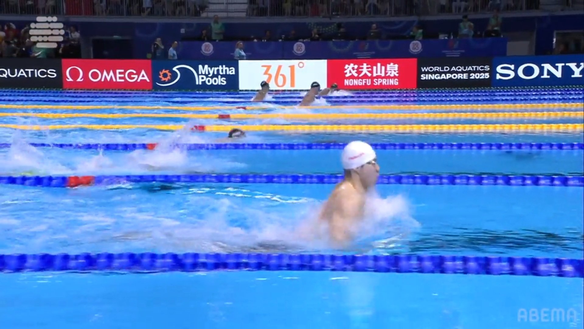 【写真・画像】　1枚目