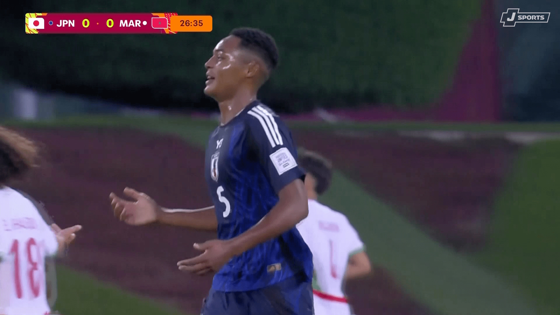 ノーファウルを主張する元砂晏翔仁ウデンバ