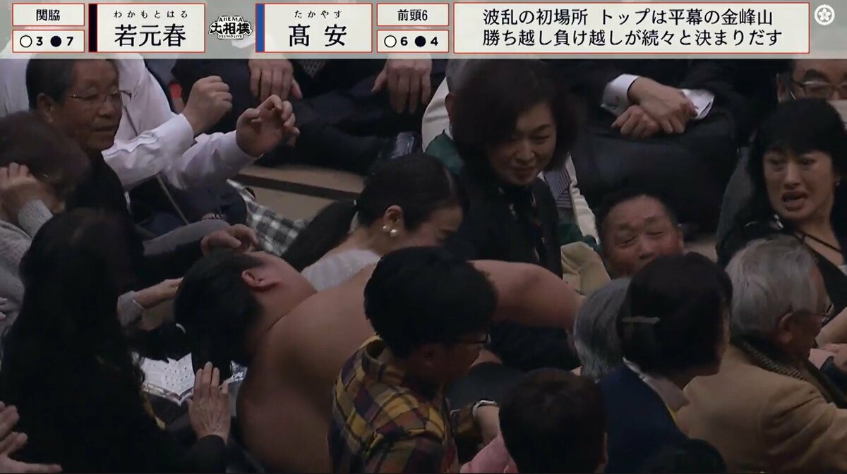 大相撲 観客 美人