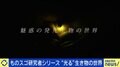 “光る”生き物は約7000種！メカニズムは？研究者「厳密にいえば人間も光を出している」他の生物から光を盗む“世界初の発見”も？