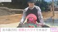 北斗晶、初孫とハワイで水浴び「お水を怖がることなく反対に喜んでました～」