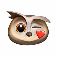 Seiko Darvish『ハピハピサタデー』