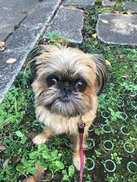 三田佳子『事務所のOさんがコロナに！』