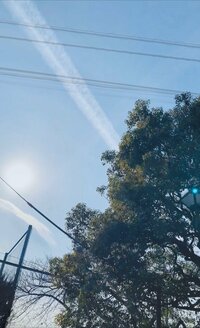 鈴木福『今、すごく辛いです』