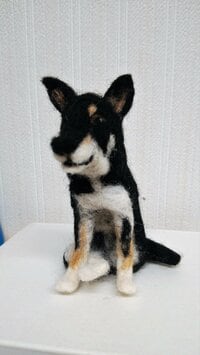 柴田理恵『光浦サンタが「来た」』