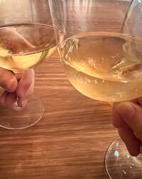 藤あや子『昨日の夜は大切な日』