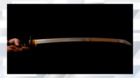 【映像】日本刀が暗闇で姿を消す様子
