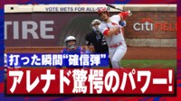 【映像】MLB最高の三塁手が見せた驚愕のパワー