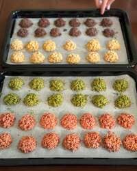 花田倉実『2024/02/14』