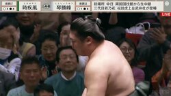 真剣な表情で大相撲観戦する勝俣州和