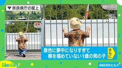 景色に夢中になるあまり柵を掴めていない息子が「はちゃめちゃに可愛いですね!!」と話題