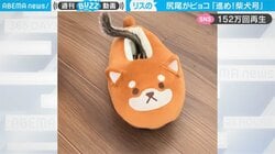 「柴犬号」を乗りこなす“小動物”の正体に「もしかして天才？」驚きの声