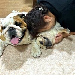  北斗晶、カナダ出発に向けて準備を開始「1ヶ月半ほど仕事はお休みに」 