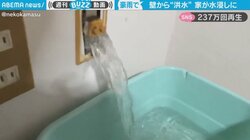 「うわ…ひでぇ」家主絶句 豪雨の影響で雨水が大量侵入 驚きの侵入経路に「こんなんなったら絶対パニック」